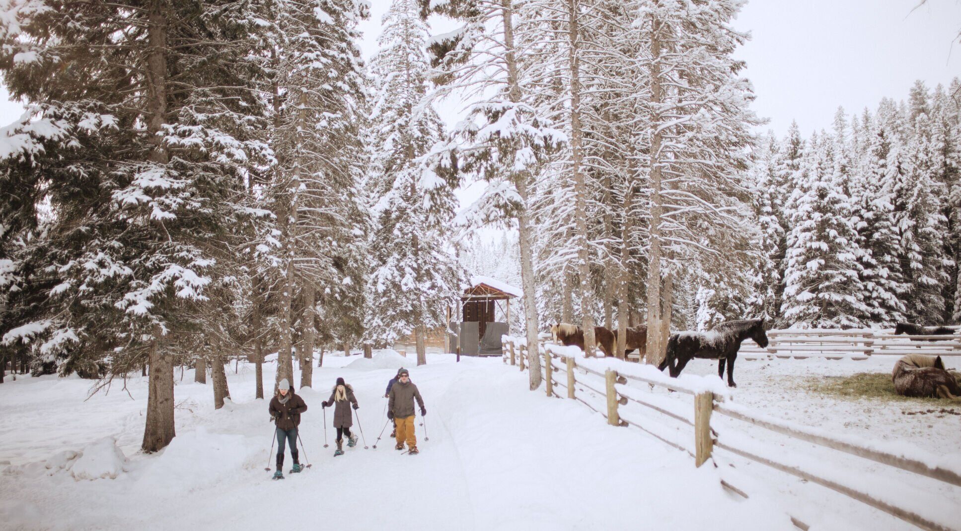 Lone Mountain Ranch, Big Sky, Montana